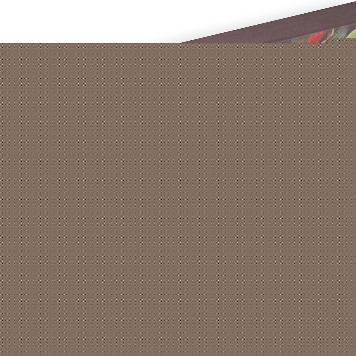 V6H70CF39AC324E79B434472EAE6C3CBB2DR4913680P2