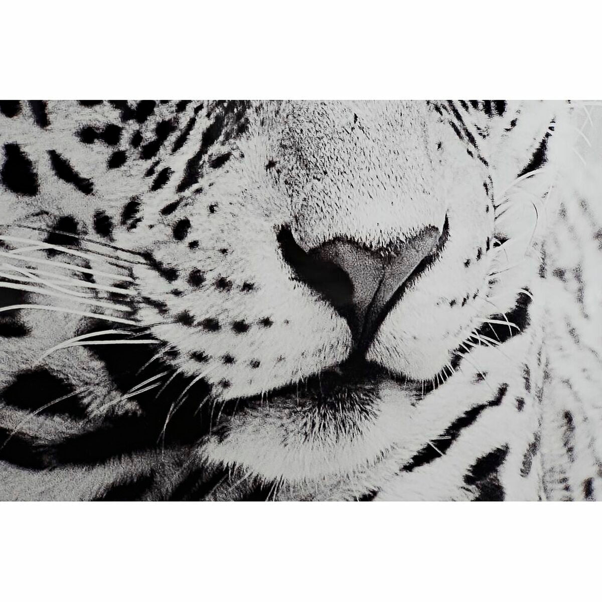 V10H487BF519285E1B47E3652DE489BBAB7DR6371992P3