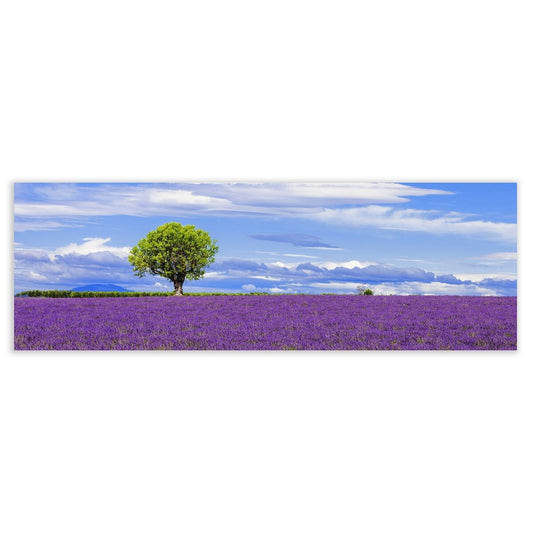 V8HB4E378EE89D6910A966922C21CC65054R6625471P1